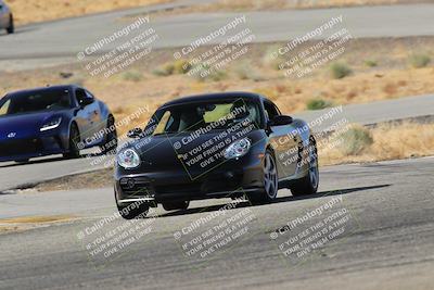 media/Feb-22-2025-Team Topak Racing (Sat) [[cb57a51a40]]/Beginner/Turns 13 and 14/